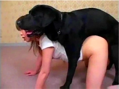 Girl And Dog Sax - HORSE AND DOG SEX GALLERIES